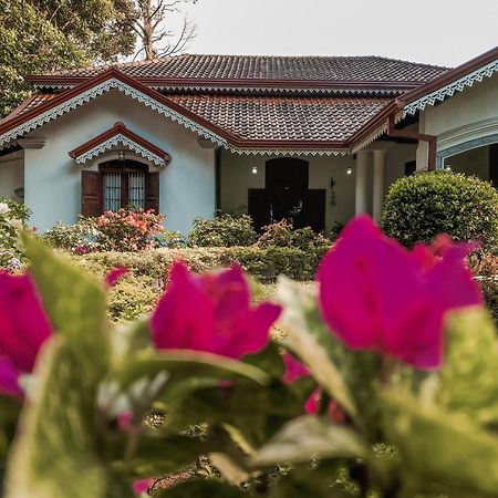Kithulvilla Holiday Bungalow Kitulgala Eksteriør billede
