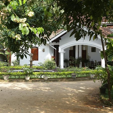 Kithulvilla Holiday Bungalow Kitulgala Eksteriør billede